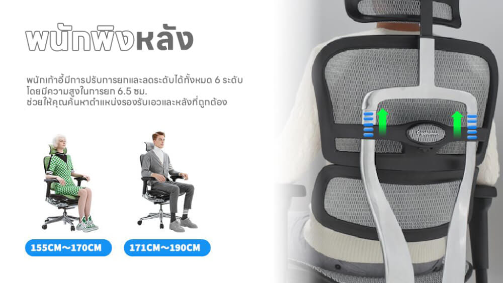 เก้าอี้เพื่อสุขภาพ DF PROCHAIR รุ่น Ergo Elite Ultra Plus สีเทา
